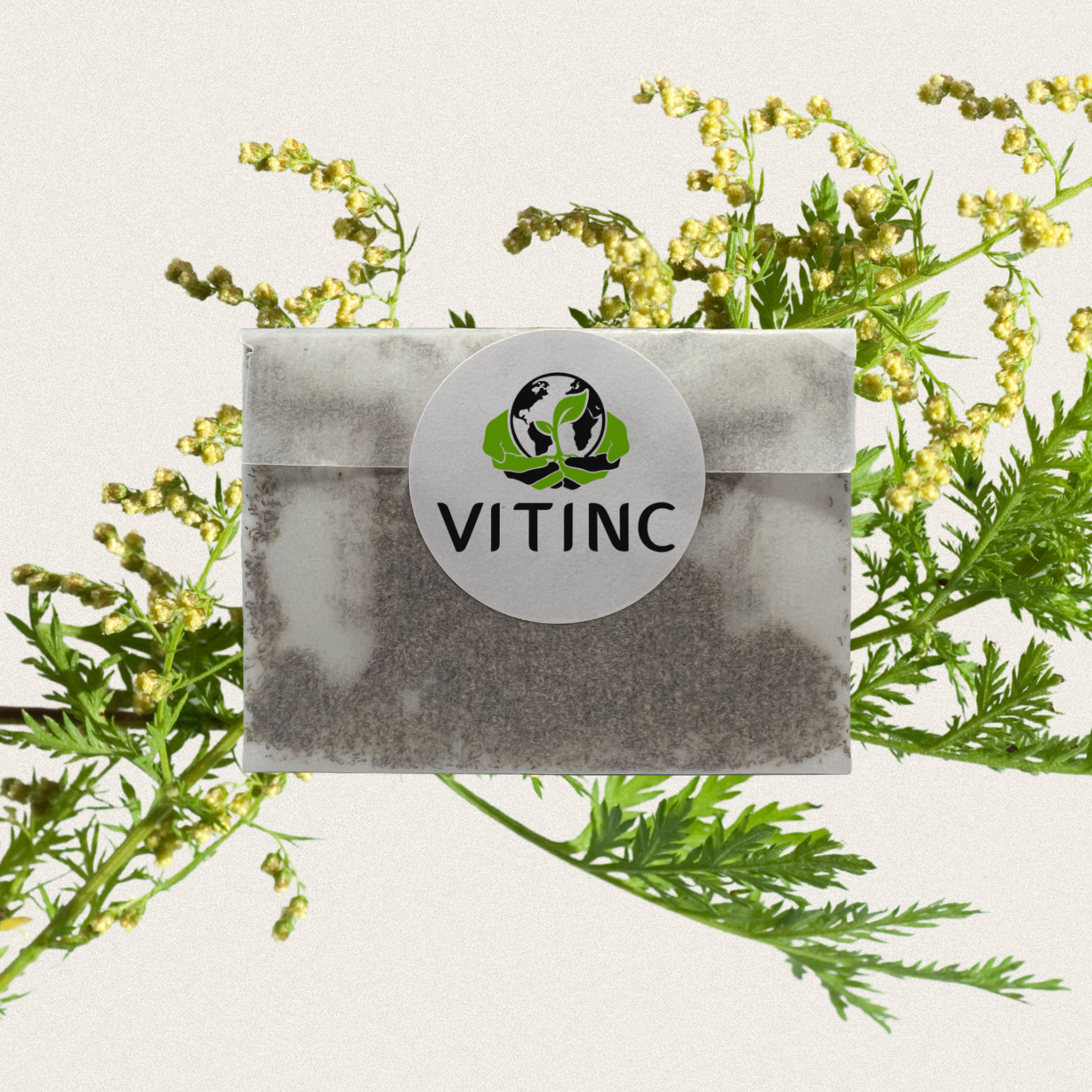 Artemisia annua Samen (≈2000) – VITINC