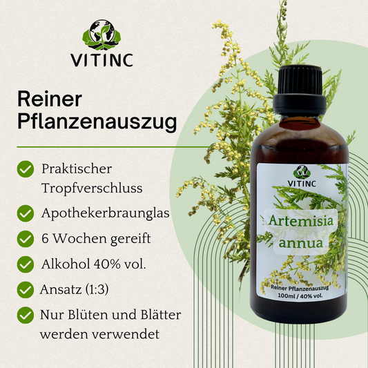 Artemisia annua Pflanzenauszug