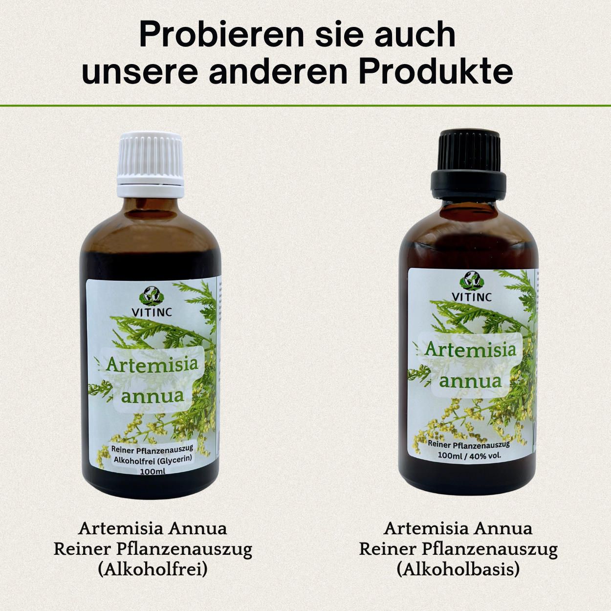 Artemisia annua