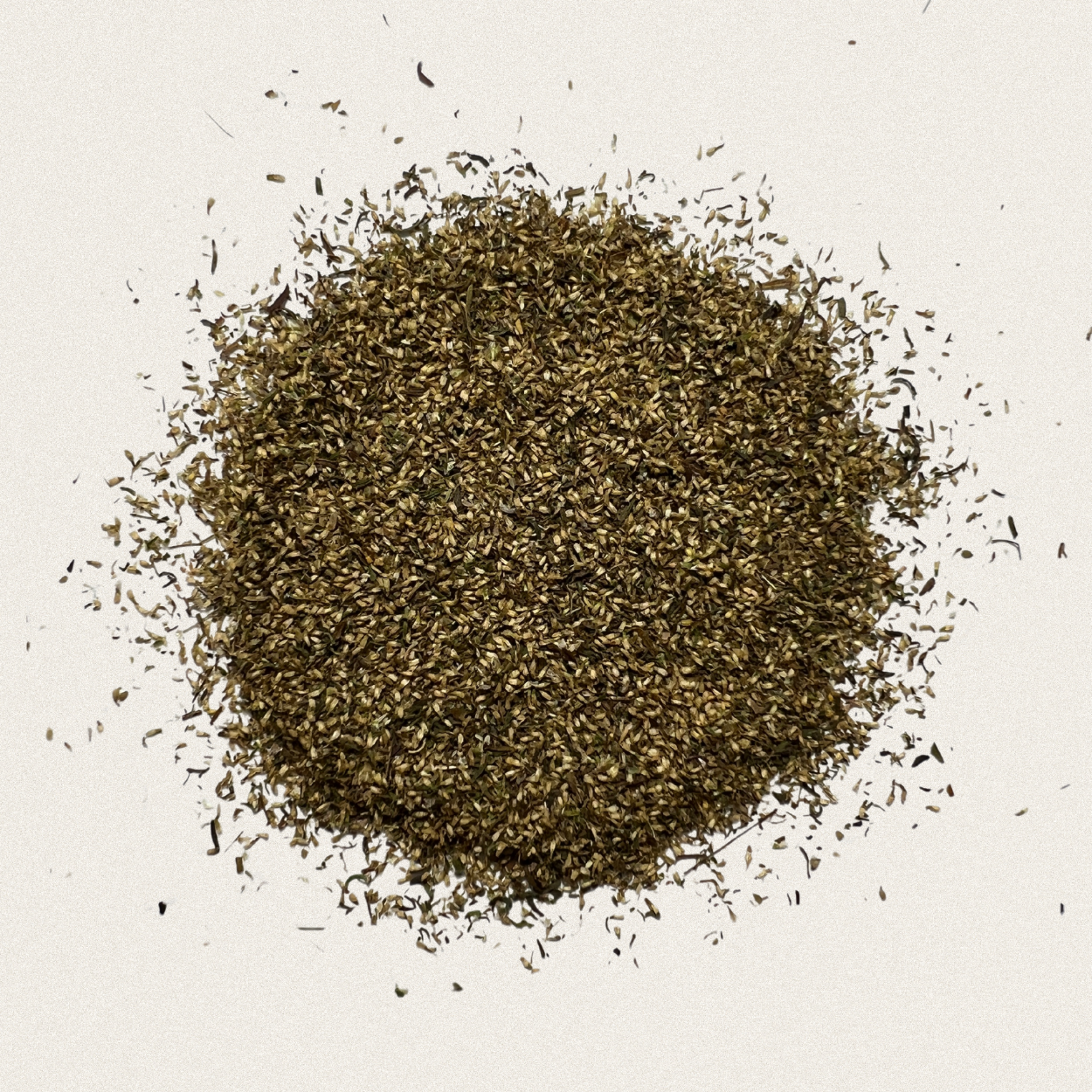 Artemisia annua Samen (≈2000)