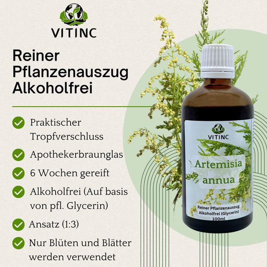 Artemisia annua Pflanzenauszug Alkoholfrei