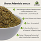 Artemisia annua Pflanzenauszug Alkoholfrei