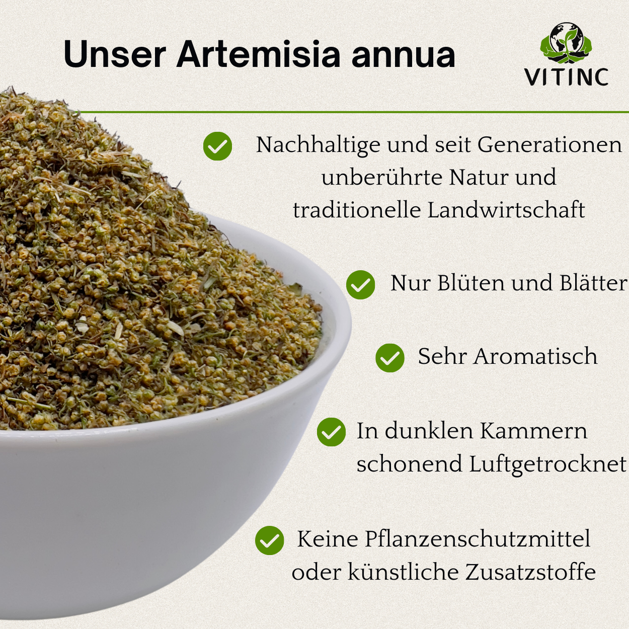 Artemisia annua Pflanzenauszug